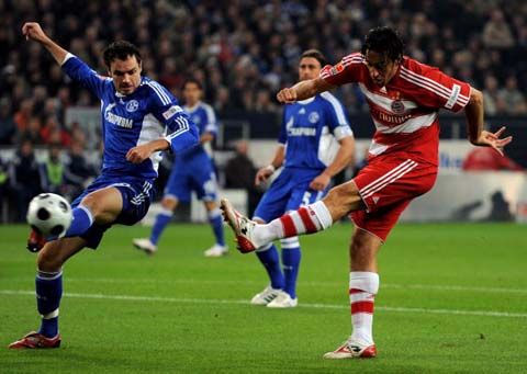 以填补主力 以填补主力